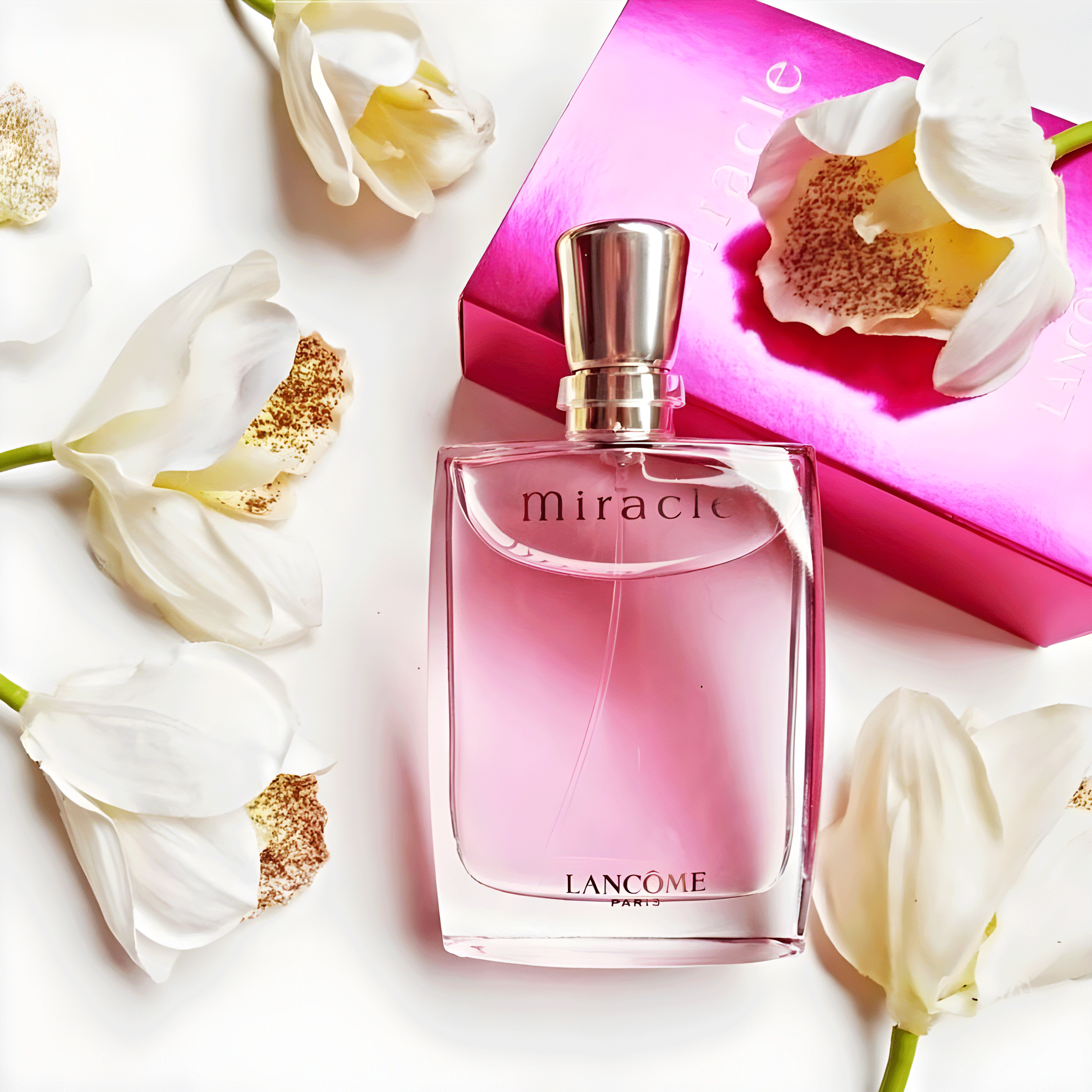Lancôme Miracle Eau de Parfum - Perfume Feminino - Imagem 3