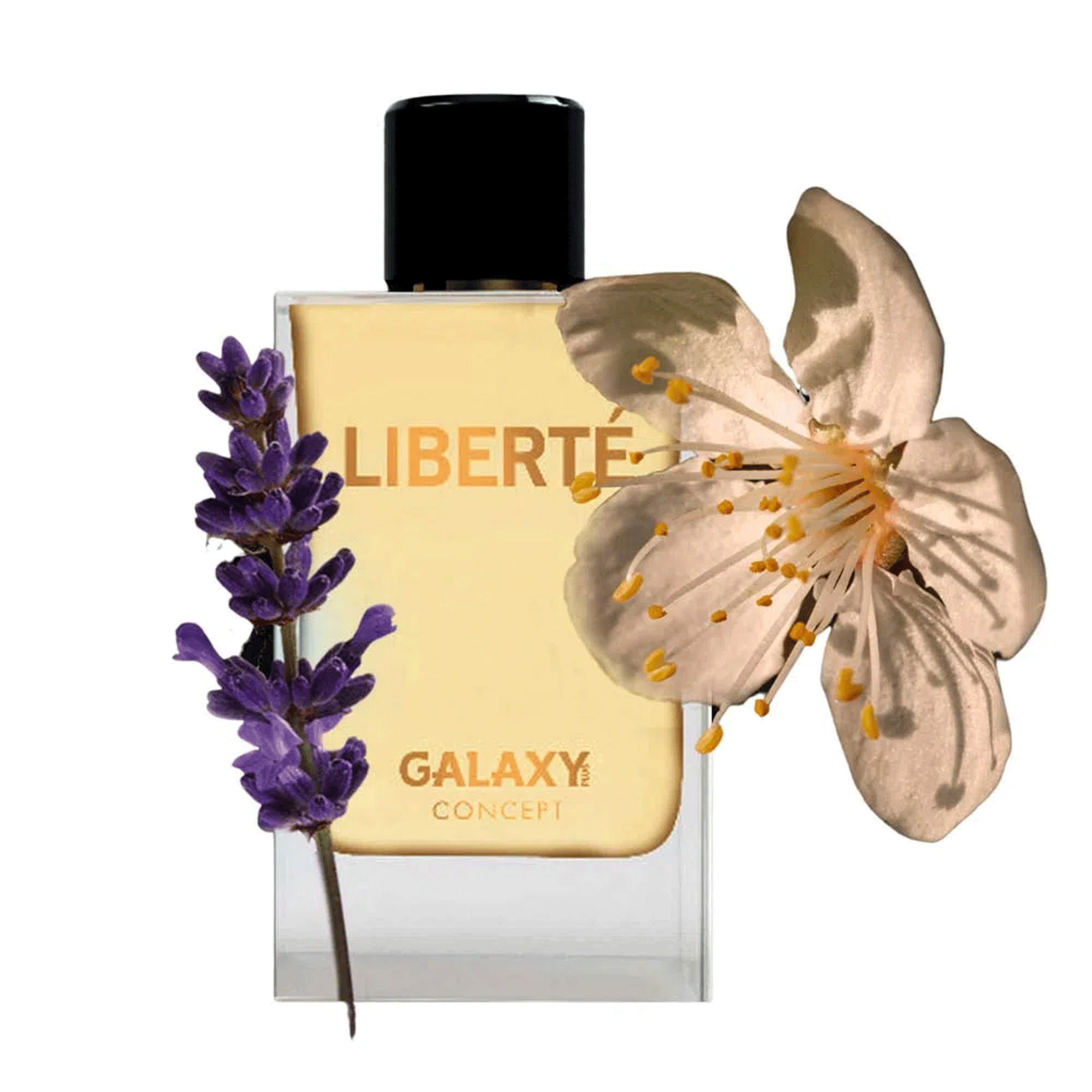 Galaxy Plus Concept Liberté Eau de Parfum - Perfume Feminino - Imagem 2