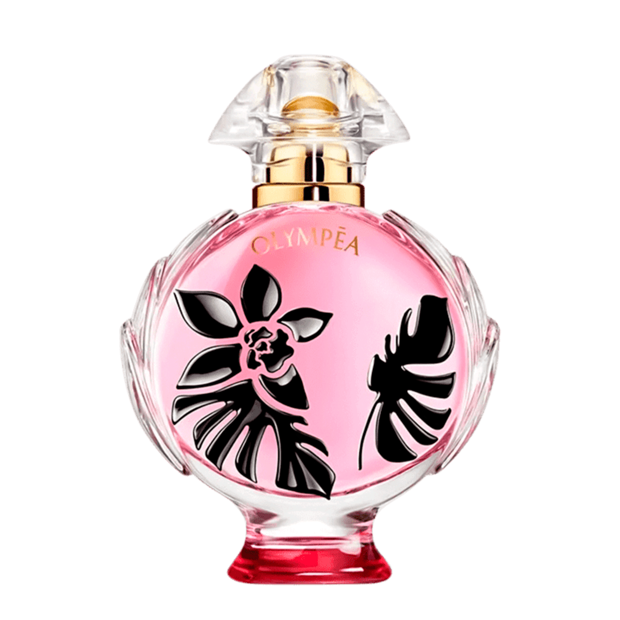 30ml 30ml