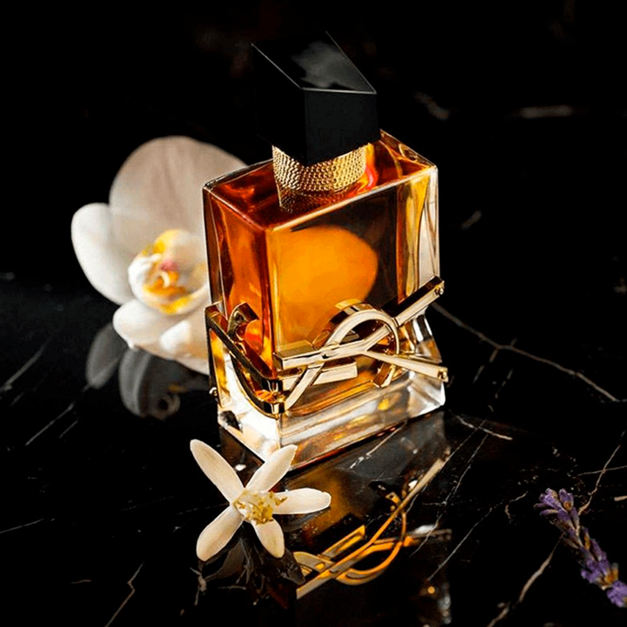 Yves Saint Laurent Libre Intense Eau de Parfum - Perfume Feminino - Imagem 3