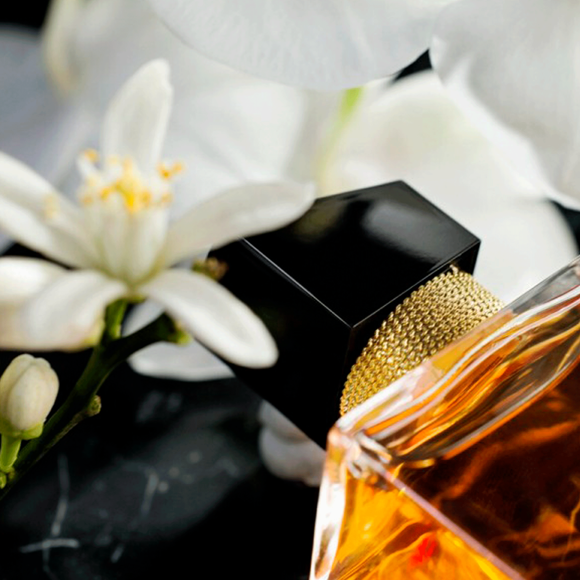 Yves Saint Laurent Libre Intense Eau de Parfum - Perfume Feminino - Imagem 4