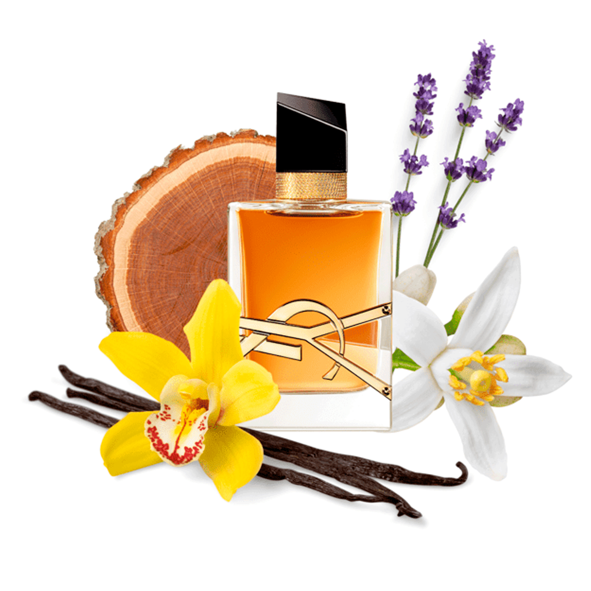 Yves Saint Laurent Libre Intense Eau de Parfum - Perfume Feminino - Imagem 5