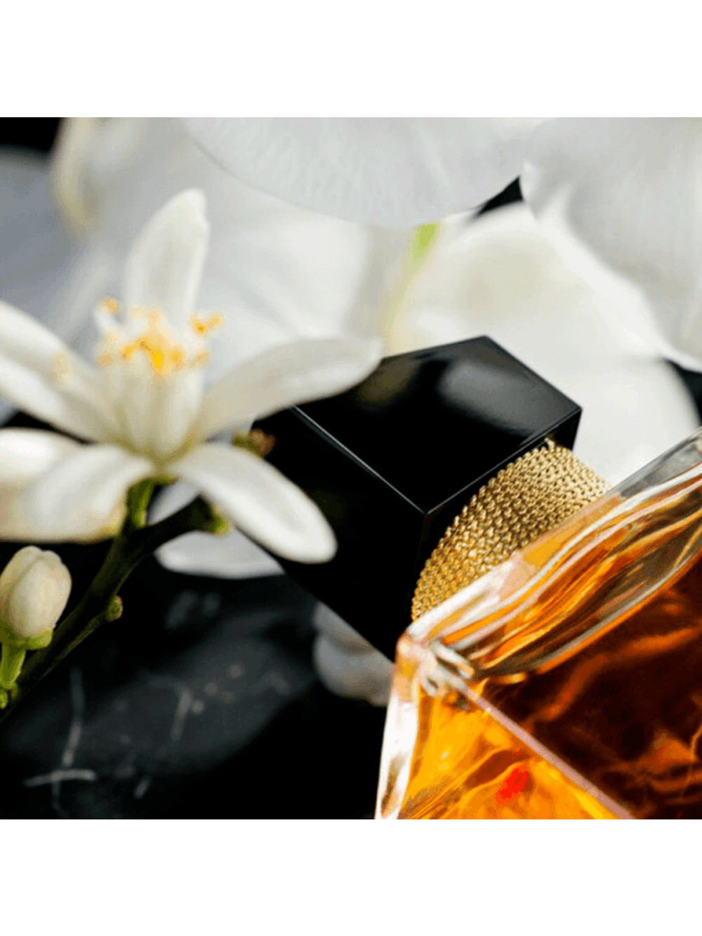 Yves Saint Laurent Libre Intense Eau de Parfum - Perfume Feminino - Imagem 2