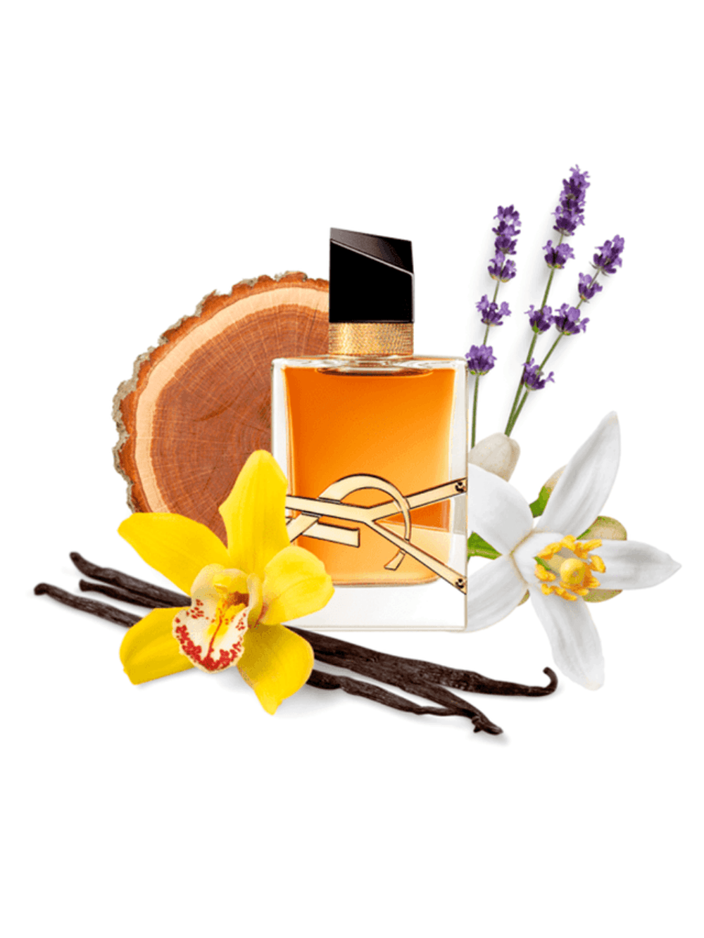 Yves Saint Laurent Libre Intense Eau de Parfum - Perfume Feminino - Imagem 5