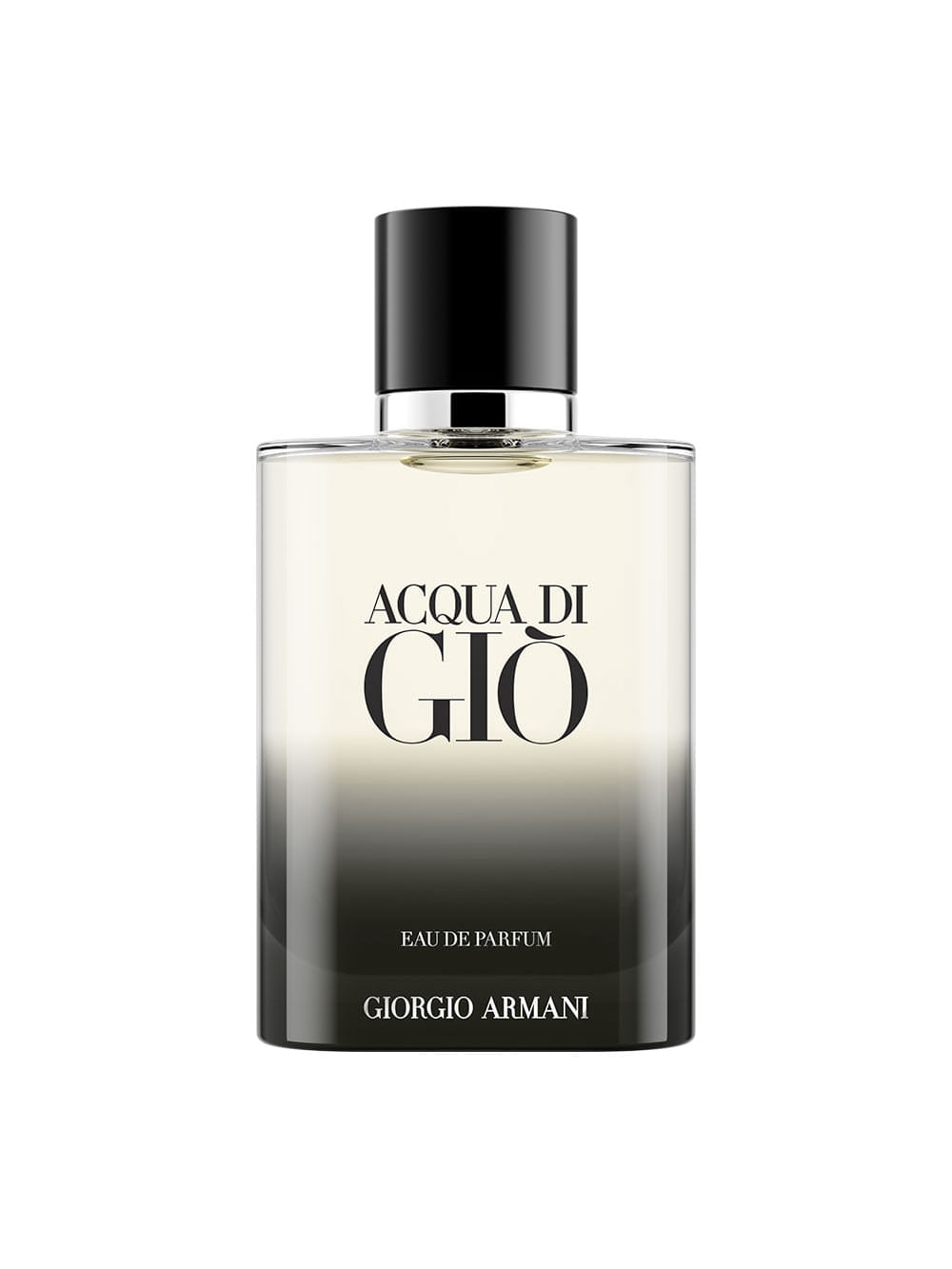 Acqua Di Gio Eau de Parfum Masculino 100ml Giorgio Armani